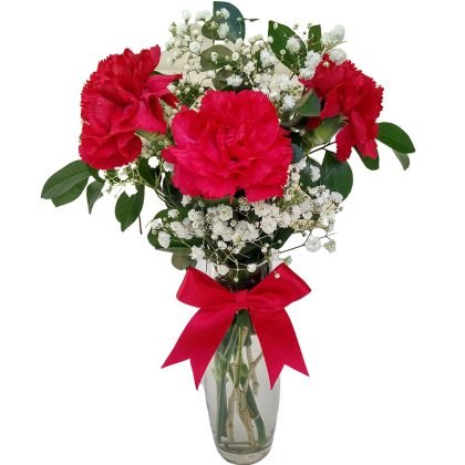 V3 3 carnations & baby breath