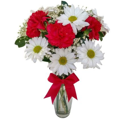 V4 3 carnations with baby breath & daises