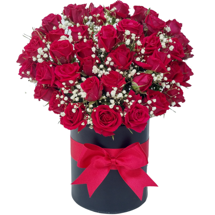 Mini roses with baby breath