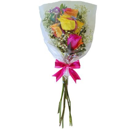 6 rainbow roses with baby breath