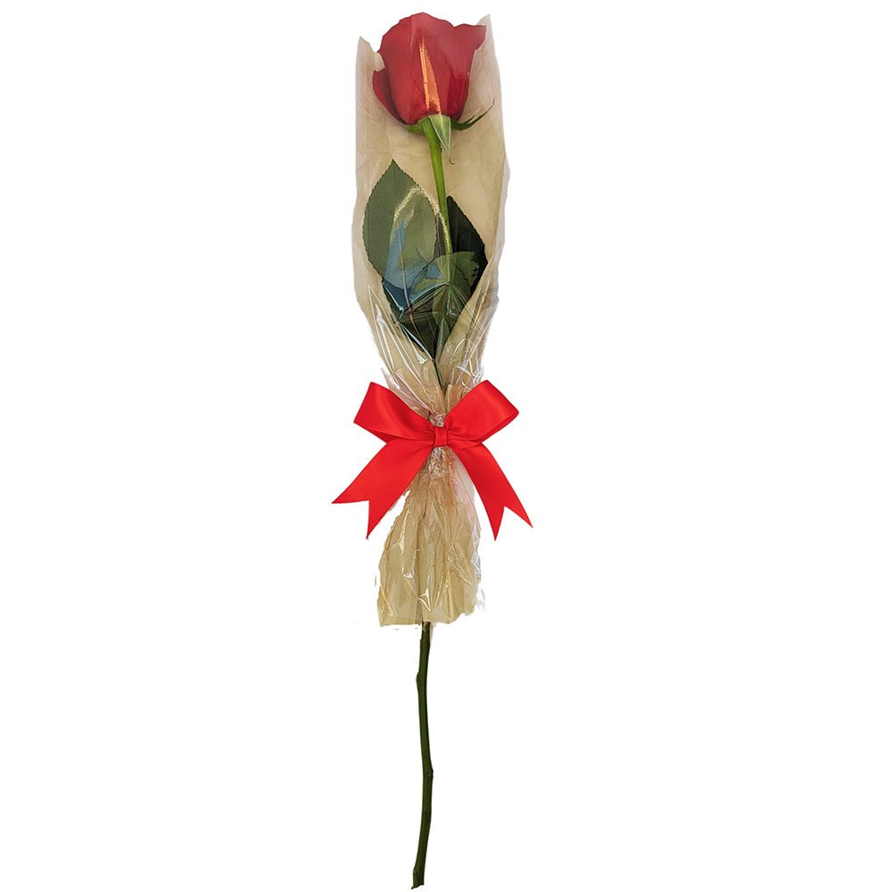 Single rose wrapped in cellophane