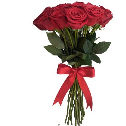 20 roses plain luxury