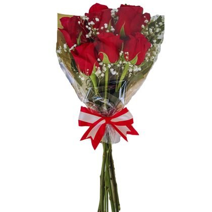 6 roses with baby breath