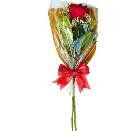 Single rose with foliage and baby breath