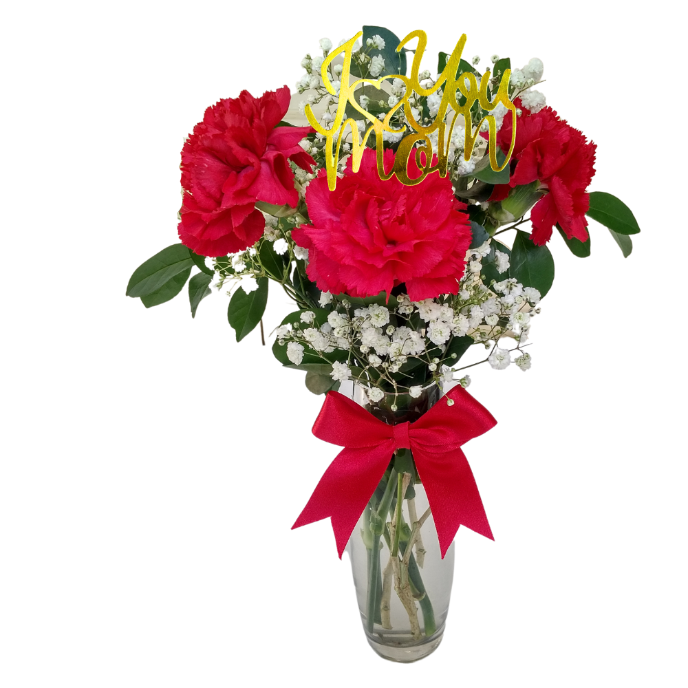 V9 - 3 carnations & baby breath